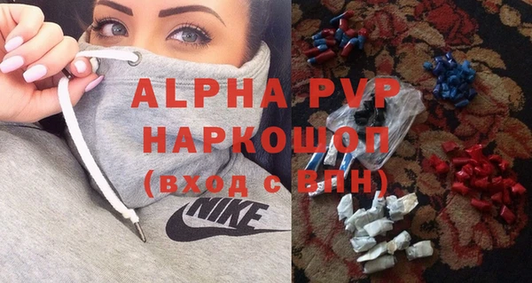 тгк Новозыбков