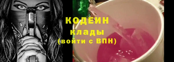 тгк Новозыбков