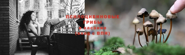 тгк Новозыбков