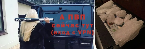 тгк Новозыбков