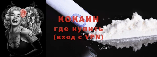 тгк Новозыбков