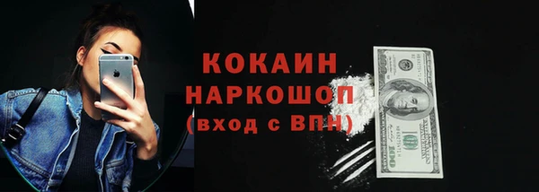 тгк Новозыбков