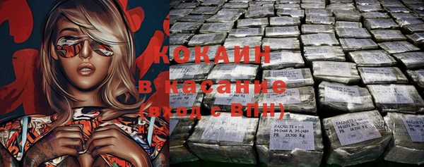 тгк Новозыбков