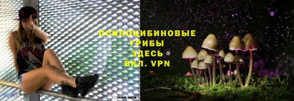 тгк Новозыбков