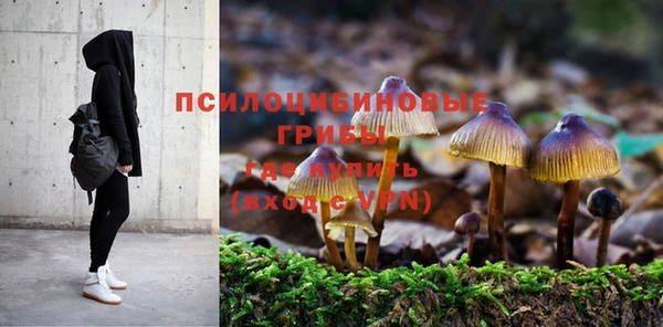 тгк Новозыбков