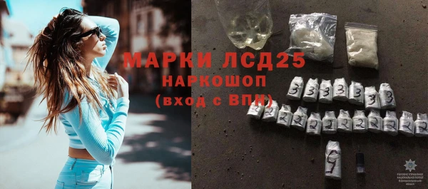 тгк Новозыбков
