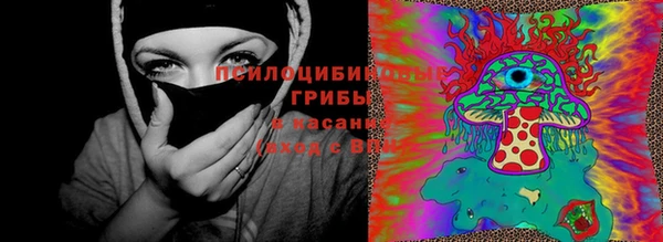 МДМА Новодвинск