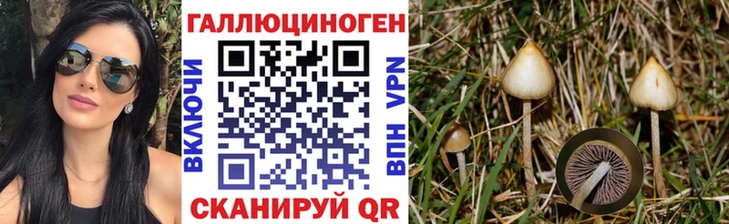 кракен ONION  как найти   Бакал  Псилоцибиновые грибы мухоморы 